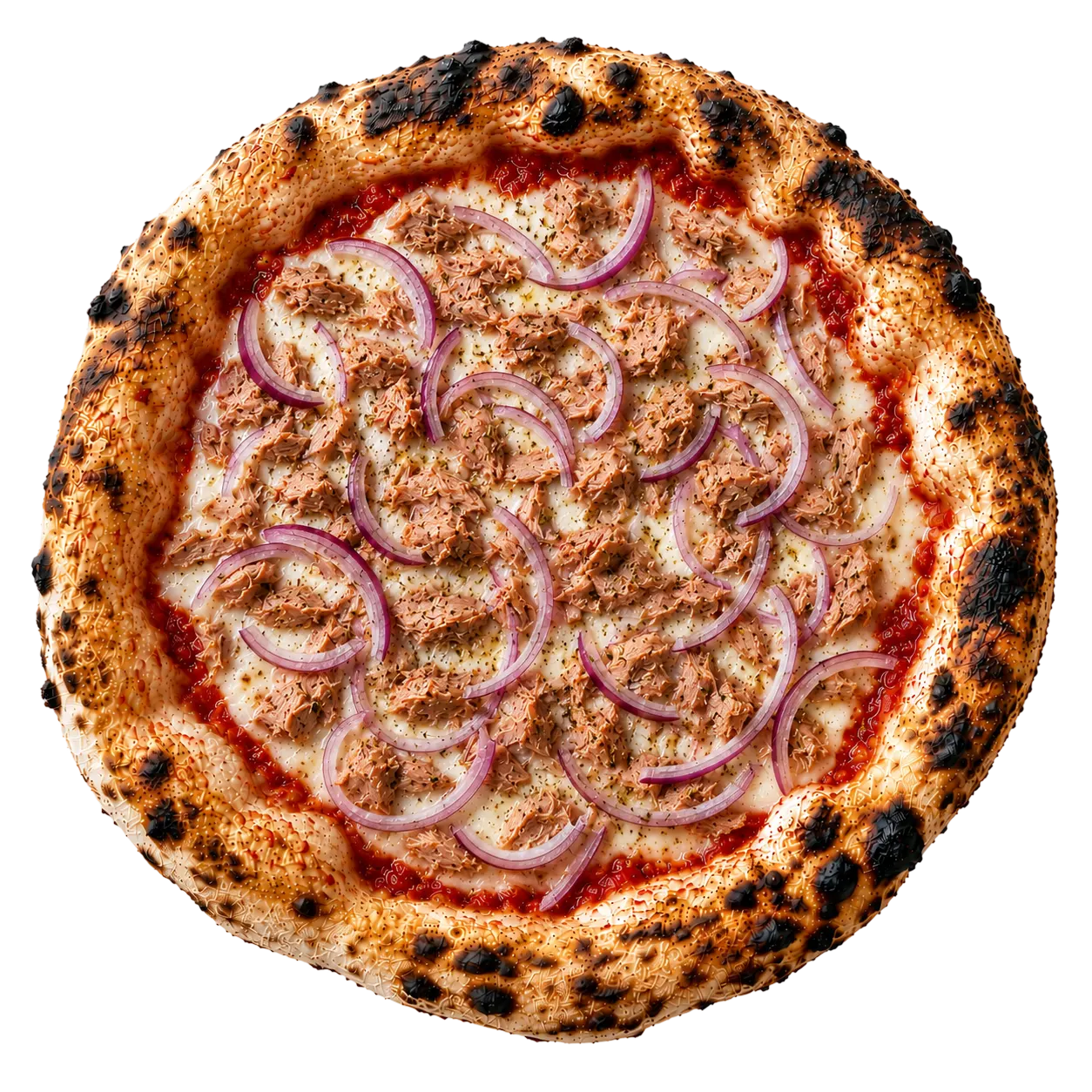 Pizza Thunfisch von oben